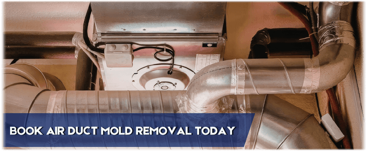 Air Duct Mold Removal in Schaumburg IL